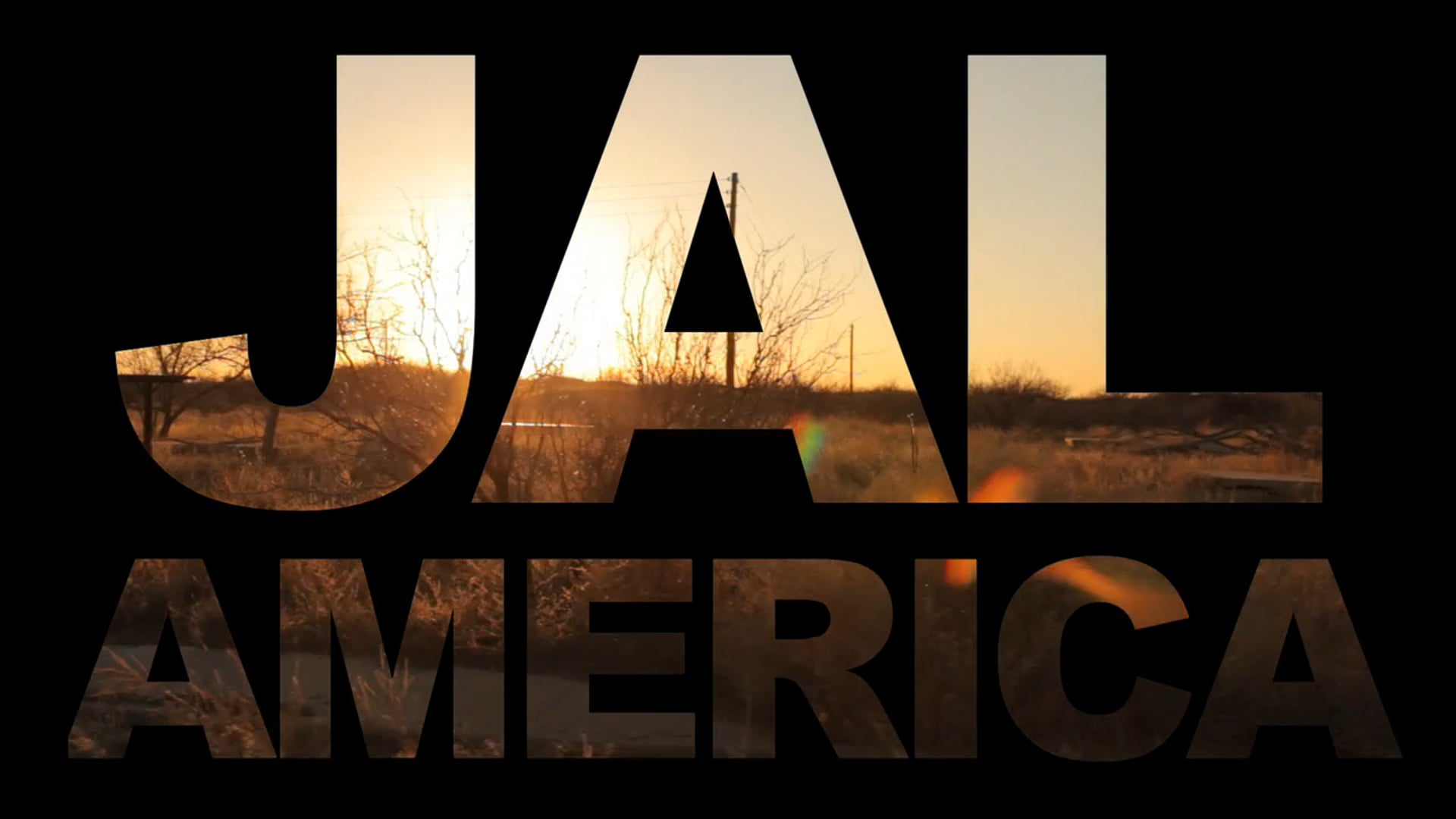 JAL AMERICA