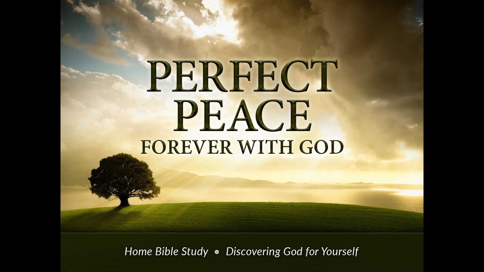 Perfect Peace Bible Study 3