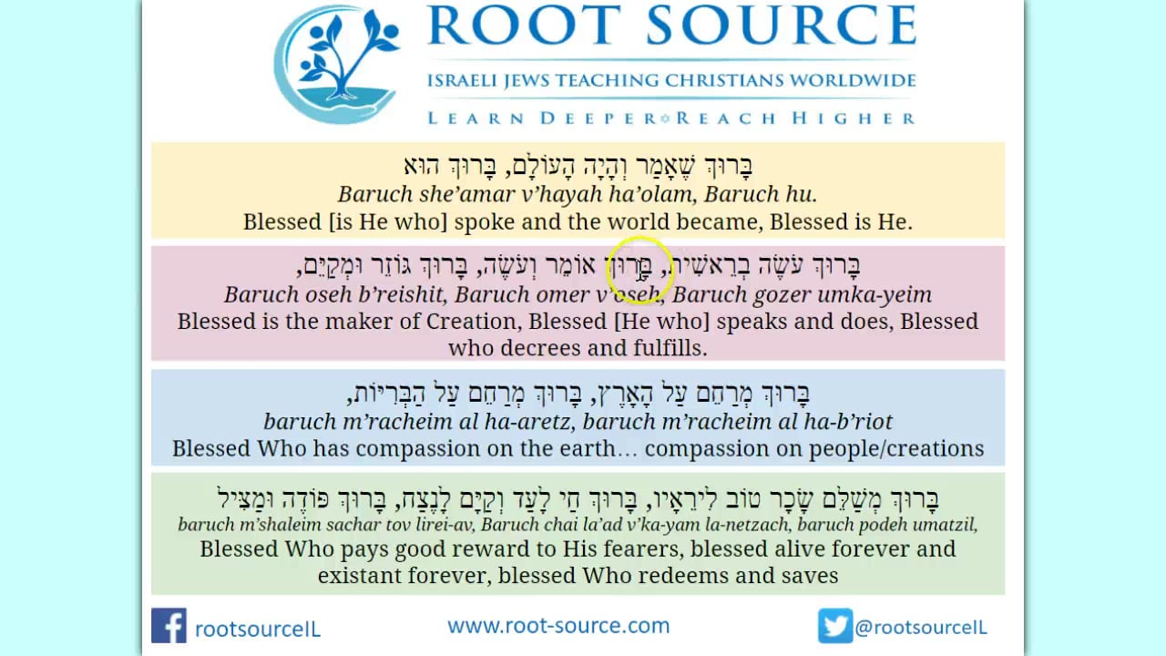 Root Source | Baruch Sheamar