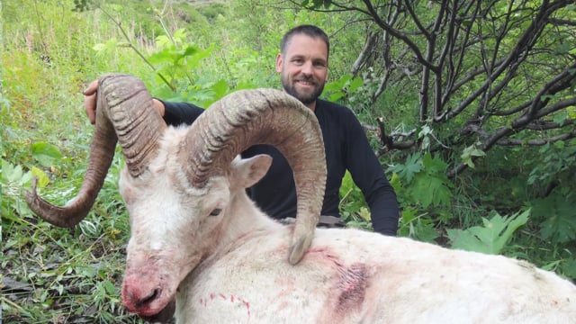 2015 Alaska Dall Sheep Hunt with Jason Goodman