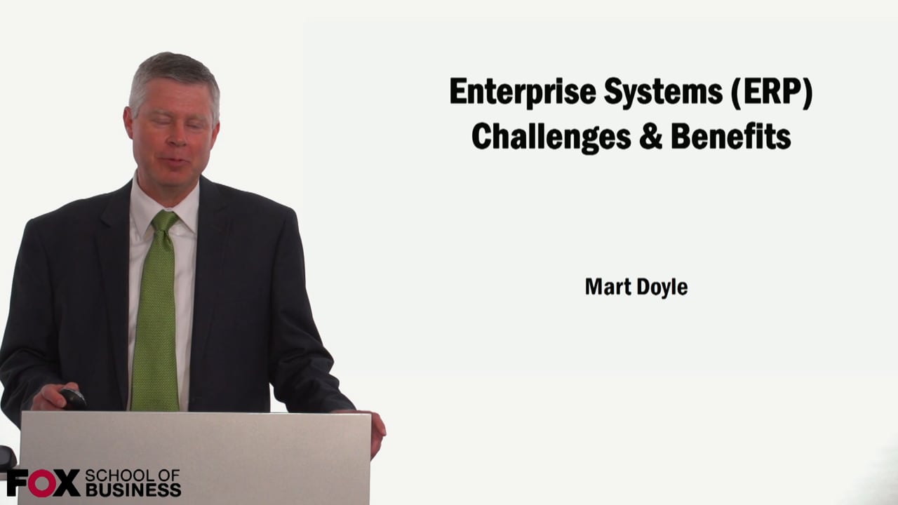 Enterprise Systems (ERP)