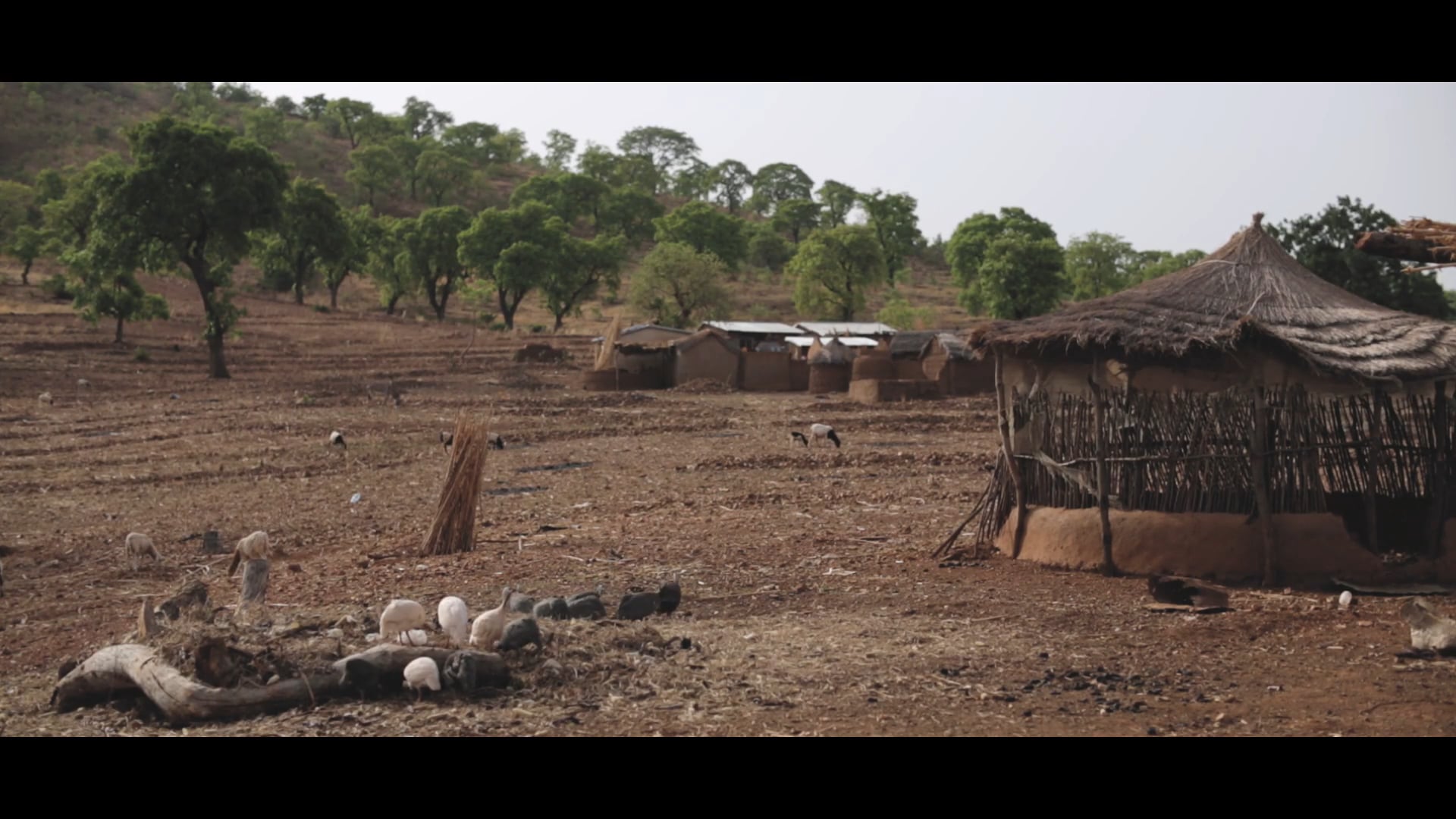 SLWMP GHANA