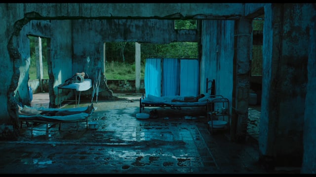 Trailer Oficial