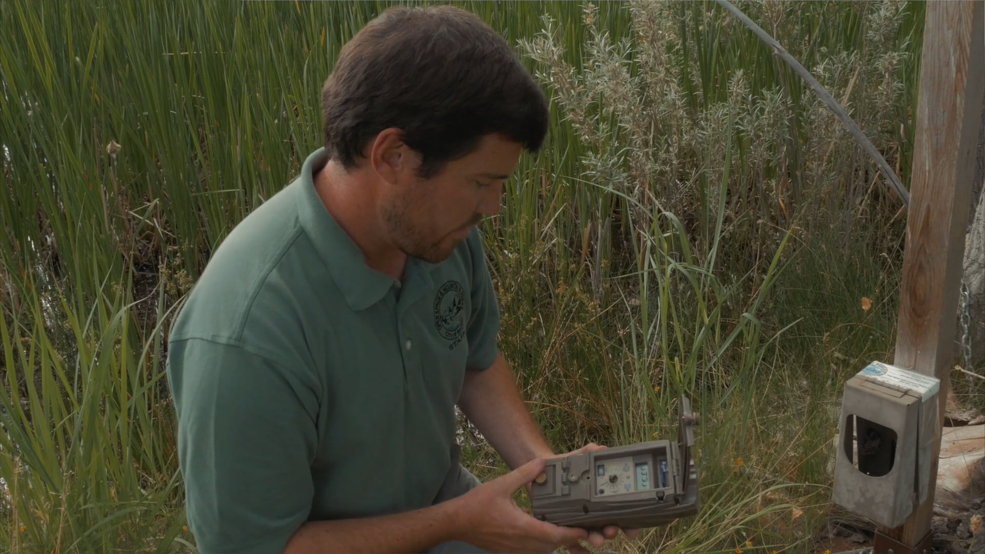 Camera Trapping:  Boulder OSMP