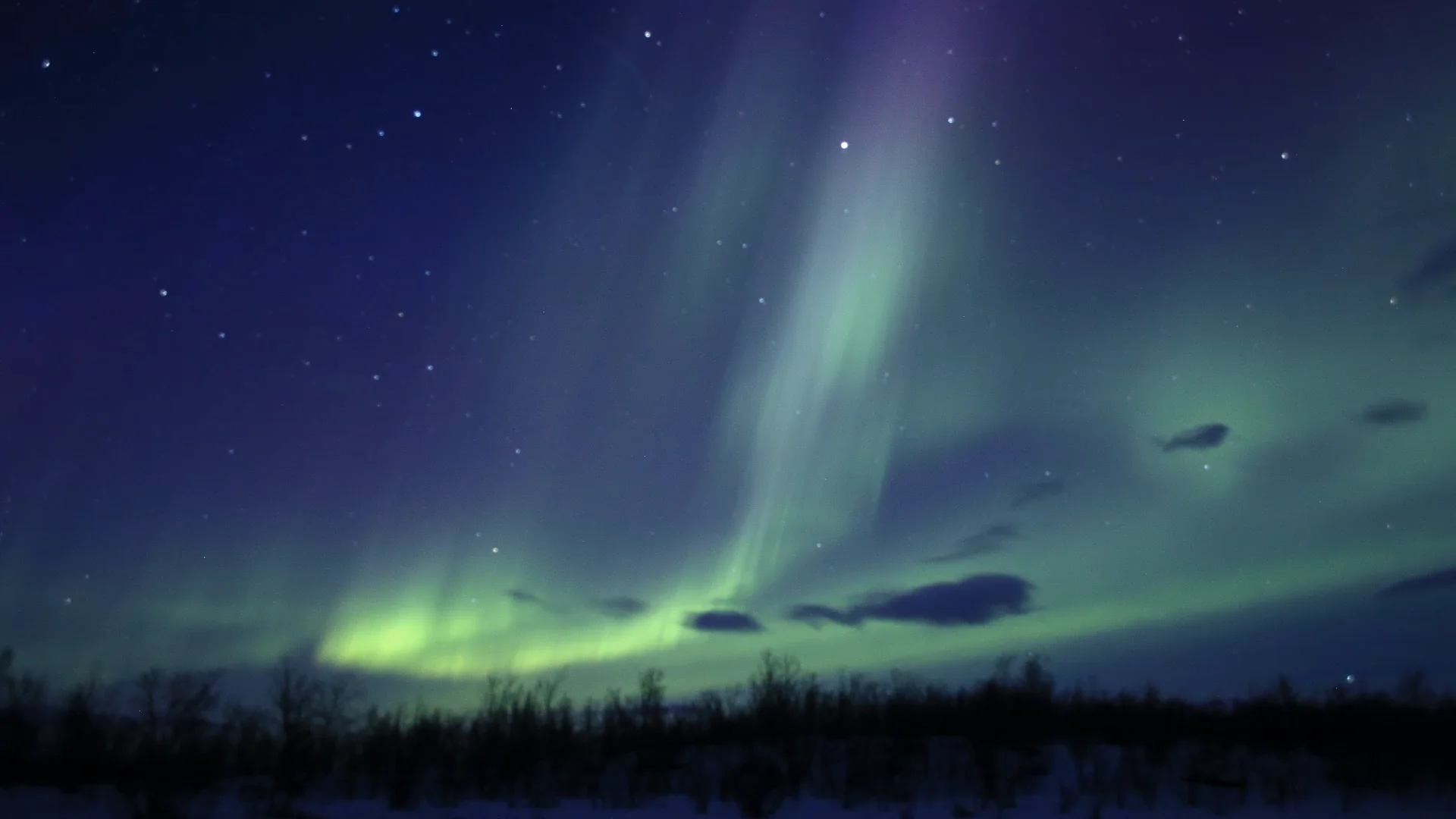 Aurora final on Vimeo