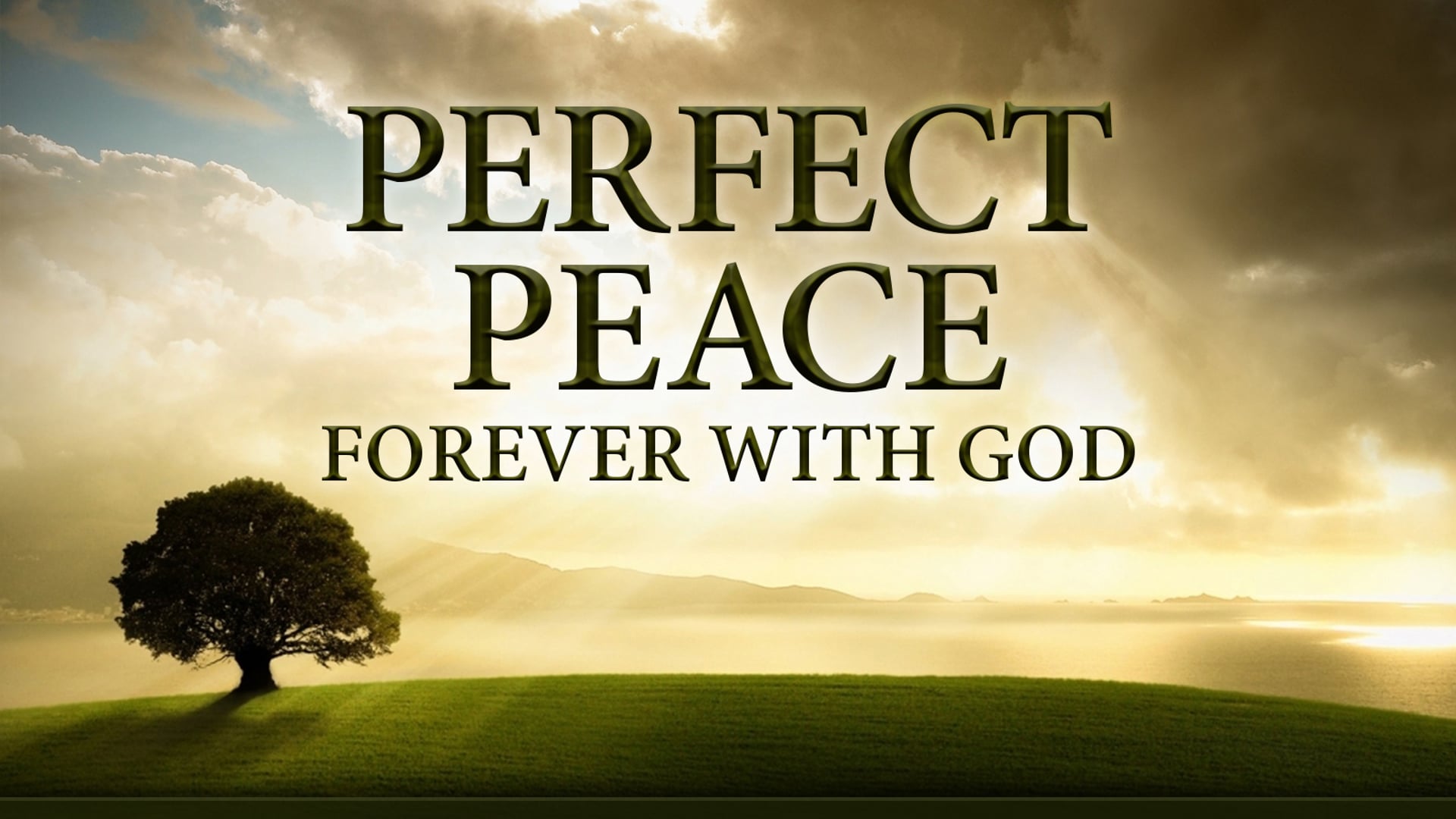 Perfect Peace Study