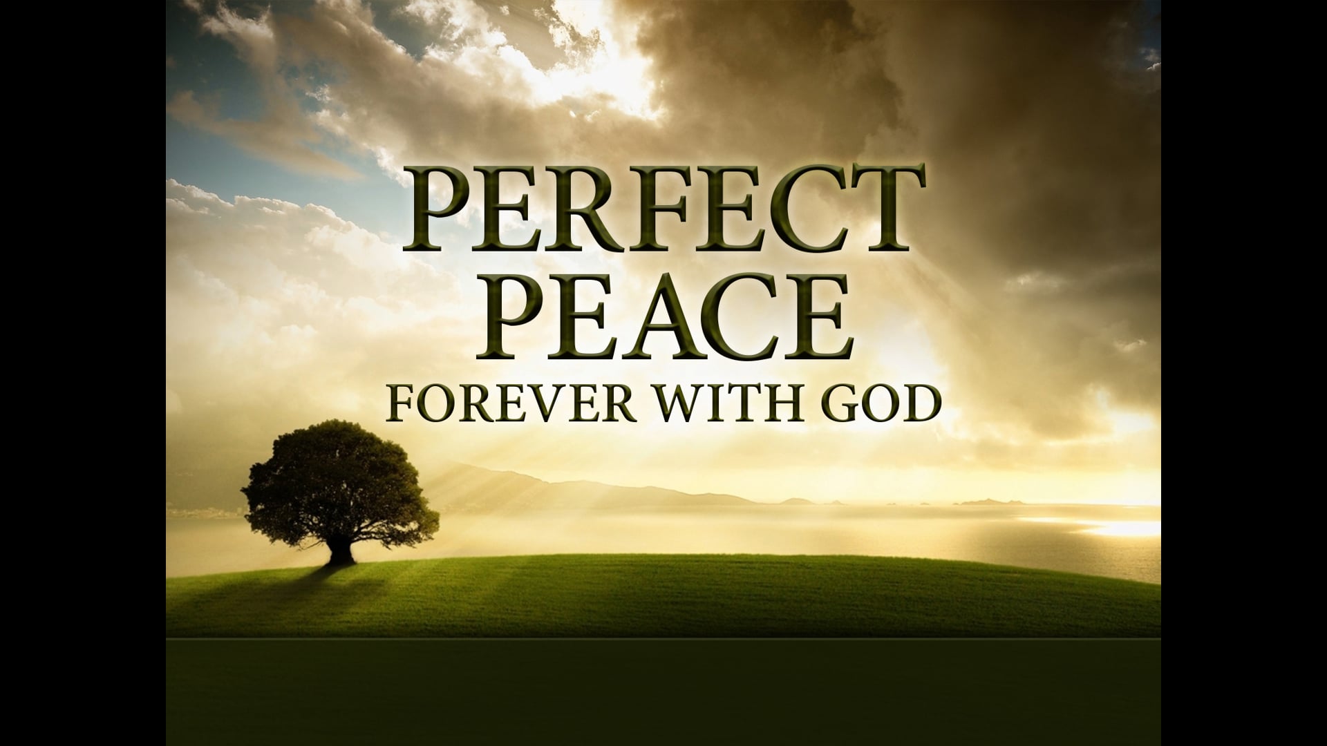Perfect Peace Bible Study 2