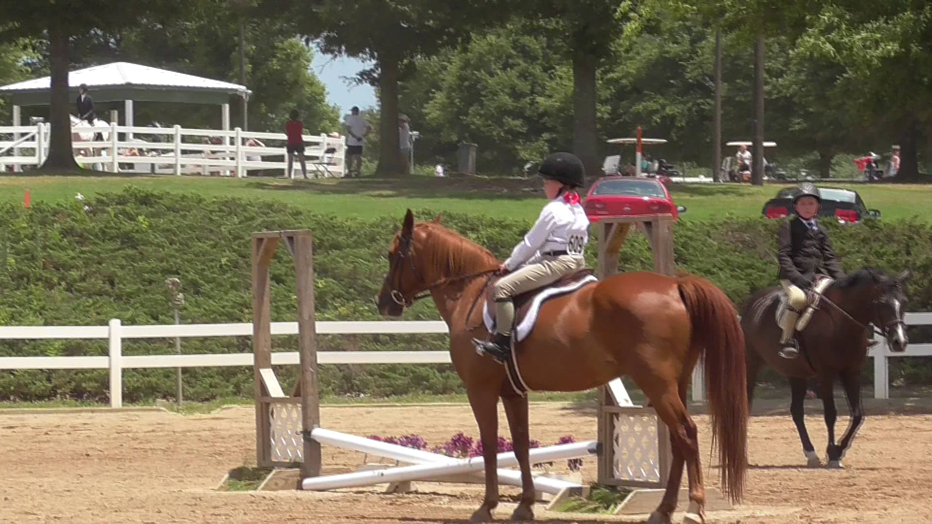 Abbi and Rebel - HJ Fox Walk/Trot Under Saddle on Vimeo