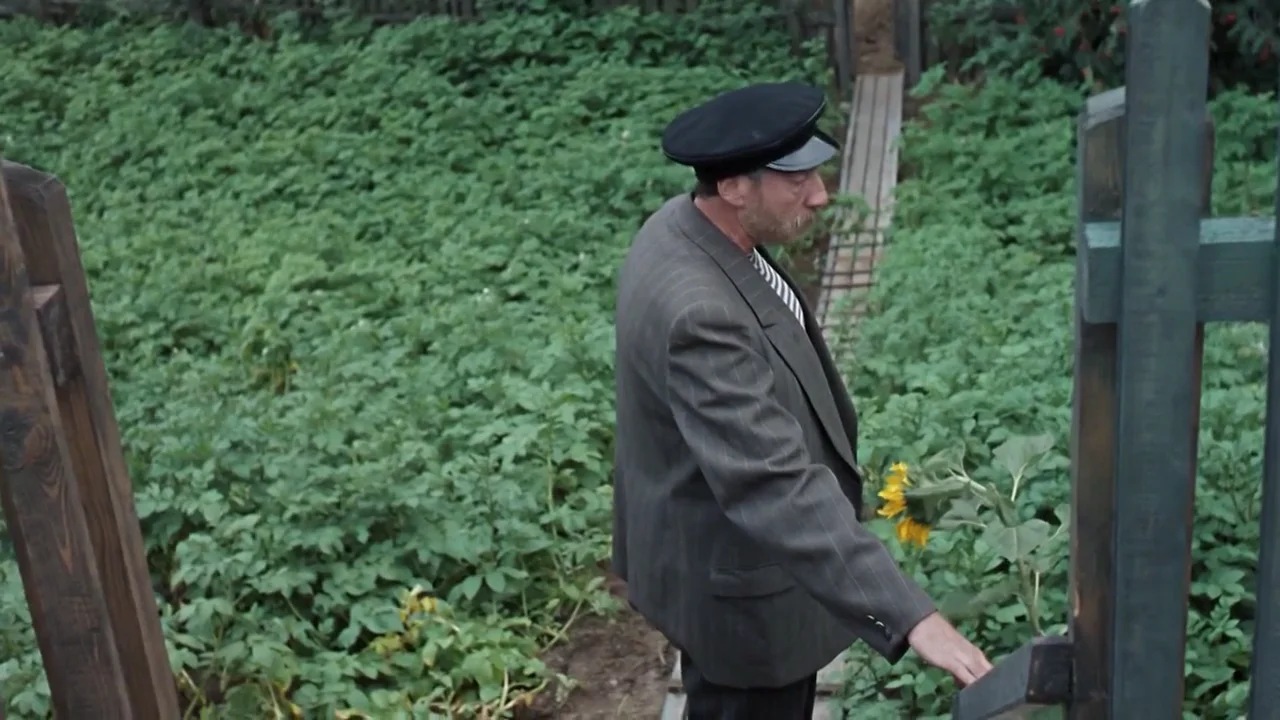 Я ей санюшка а она мне митюнюшка. Санюшка митюнюшка. Любовь и голуби санюшка. Я ей санюшка а она мне митюнюшка. Я ей санюшка а она мне митюнюшка.