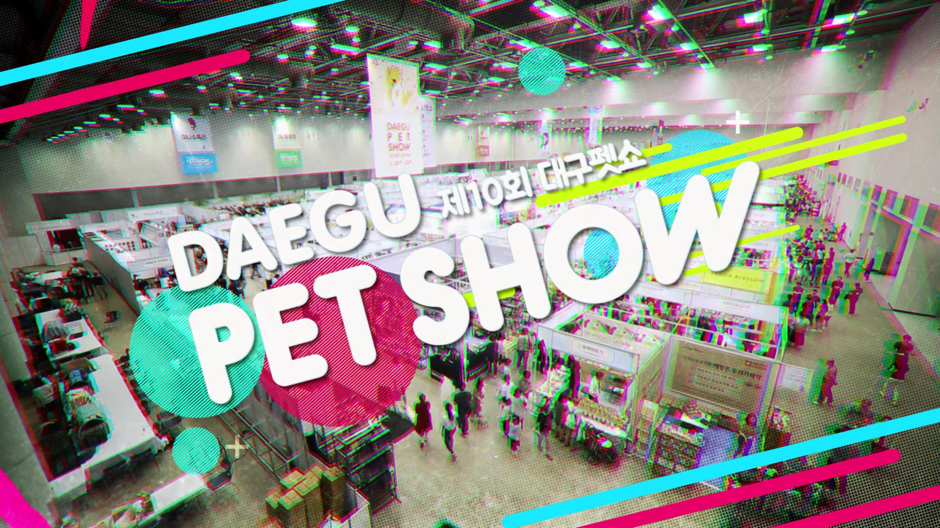 대구펫쇼