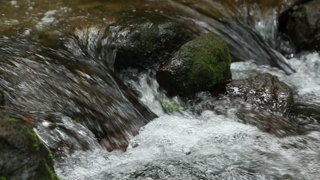 300+ Free Creek & Nature Videos, HD & 4K Clips - Pixabay