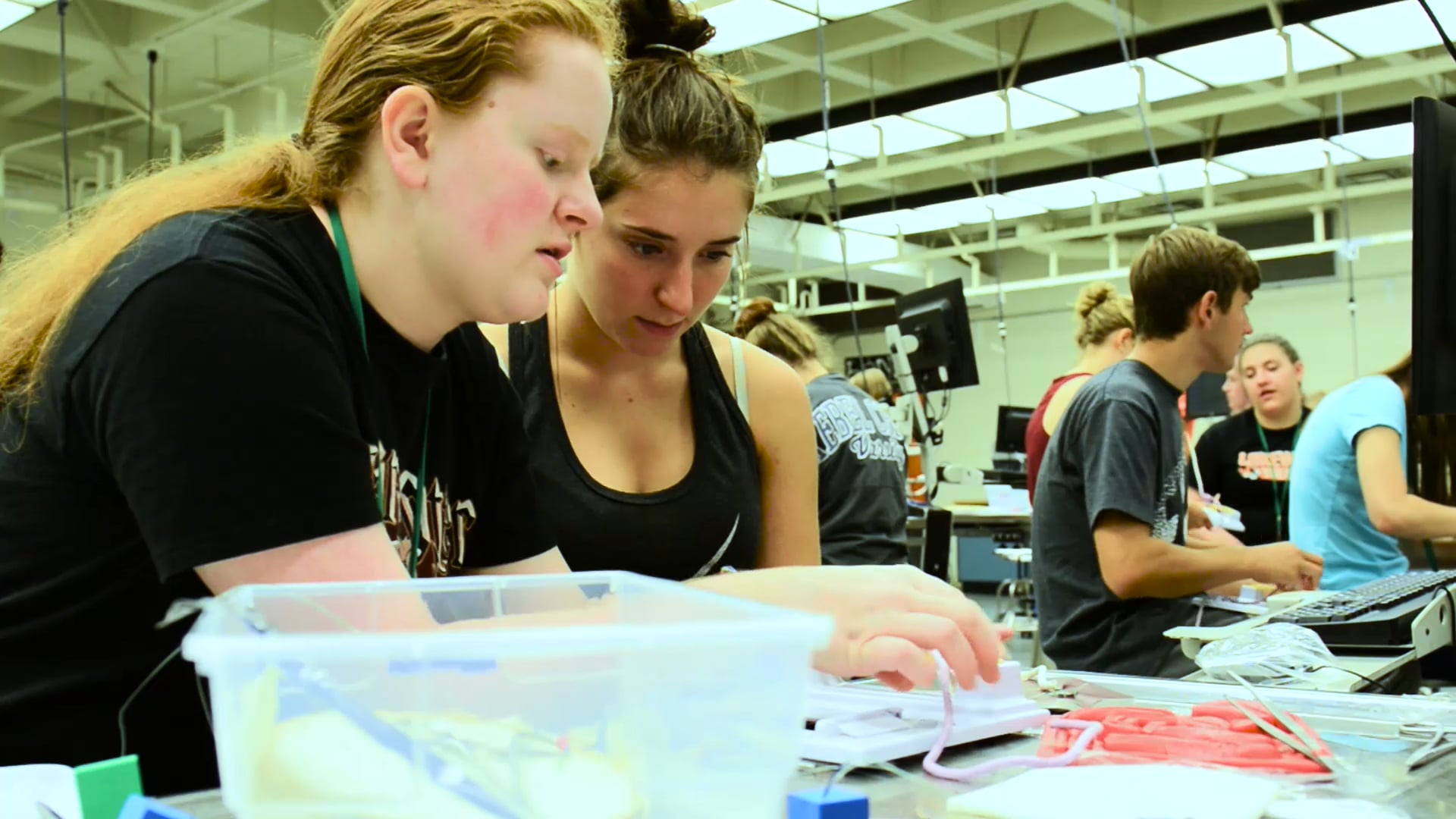 CSU Anatomy Camp Full Package on Vimeo