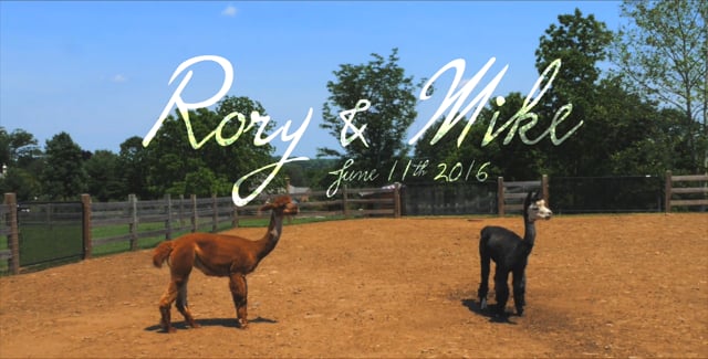 Rory & Mike