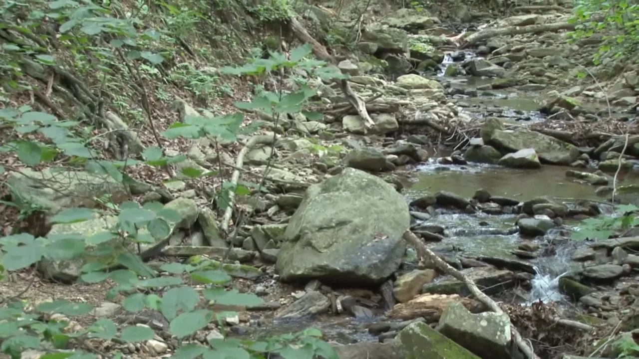 Mahara's Bamboo Internship on Vimeo