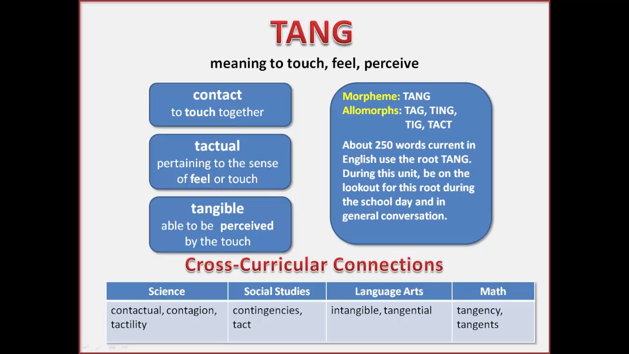 the-root-tang-on-vimeo