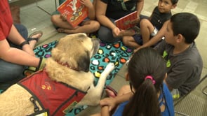 Angel Paws at Central Library