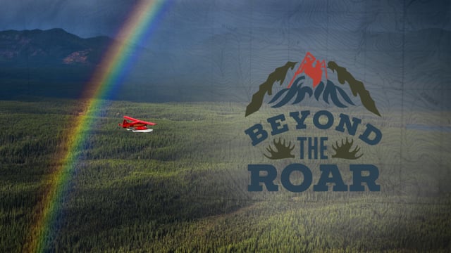 Beyond The Roar