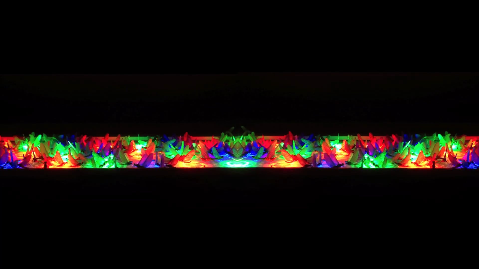 Colourful Revolution 2012