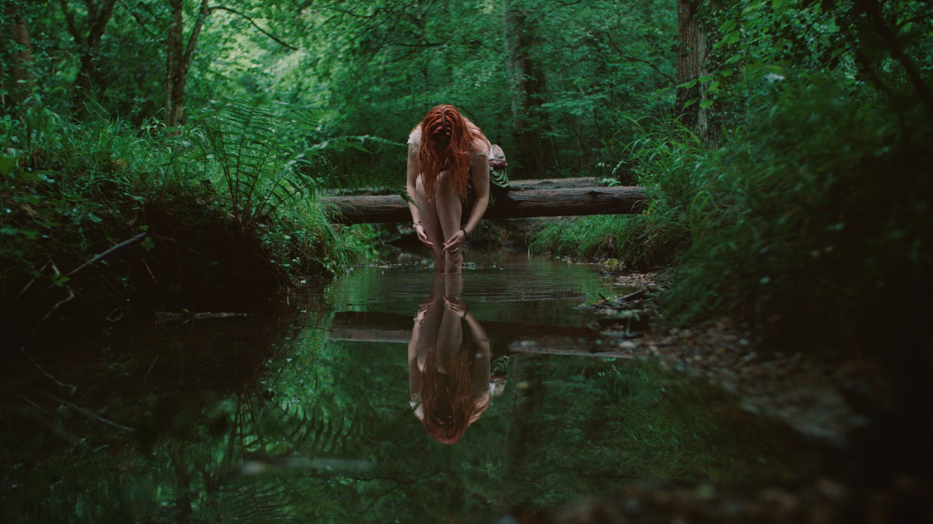 Sinopa Rin - Forest Walk [4K]