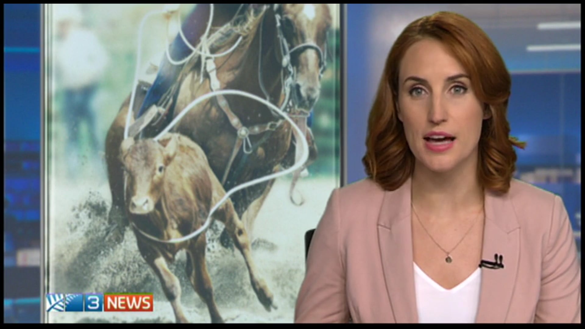 Warkworth event sparks renewed calls for rodeo ban NZNews Ne