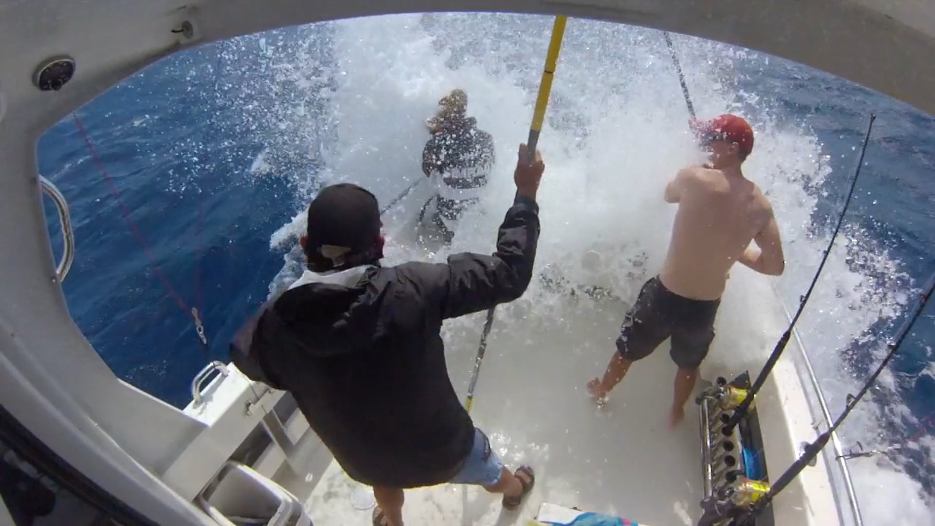 Rough Weather Striped Marlin