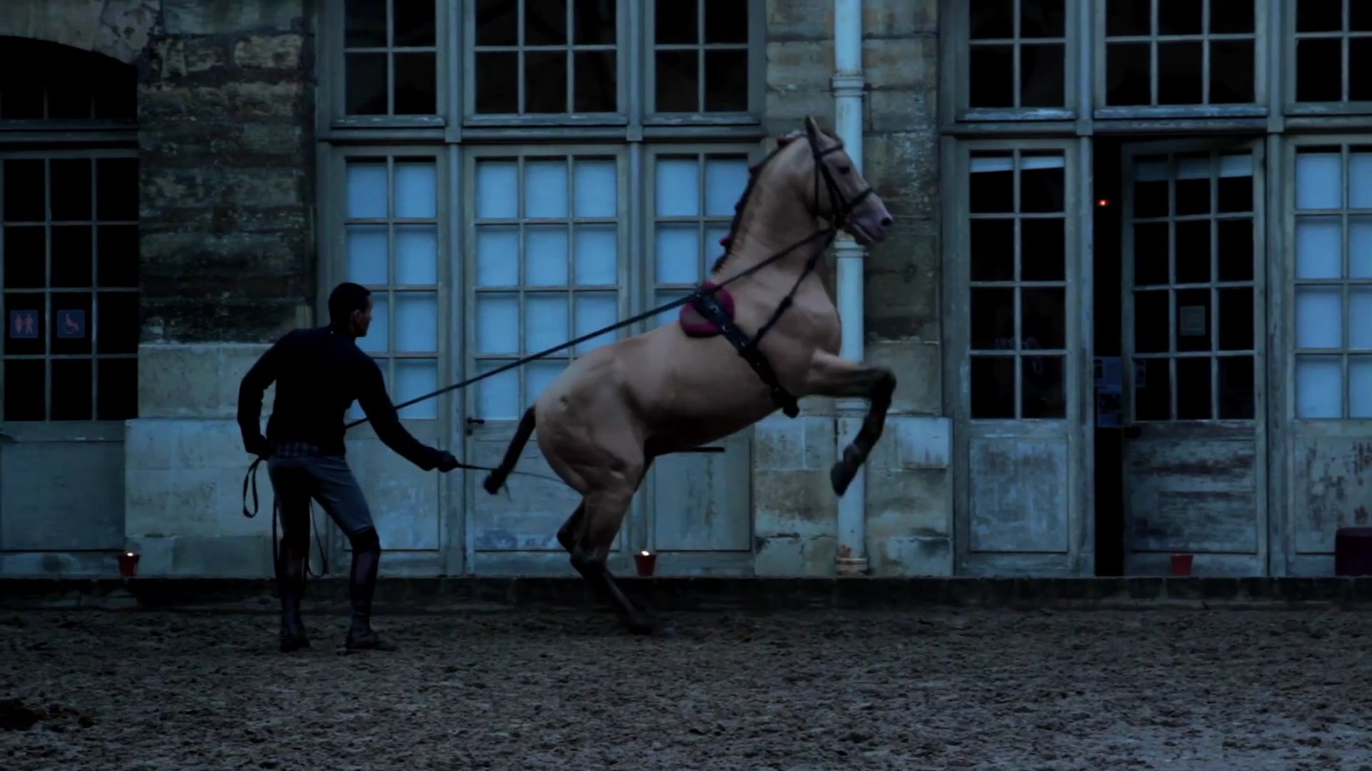Les Amazones de Versailles (2013) de Jackie Bastide