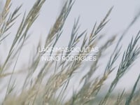 LÁGRIMAS OCULTAS - Nuno Rodrigues