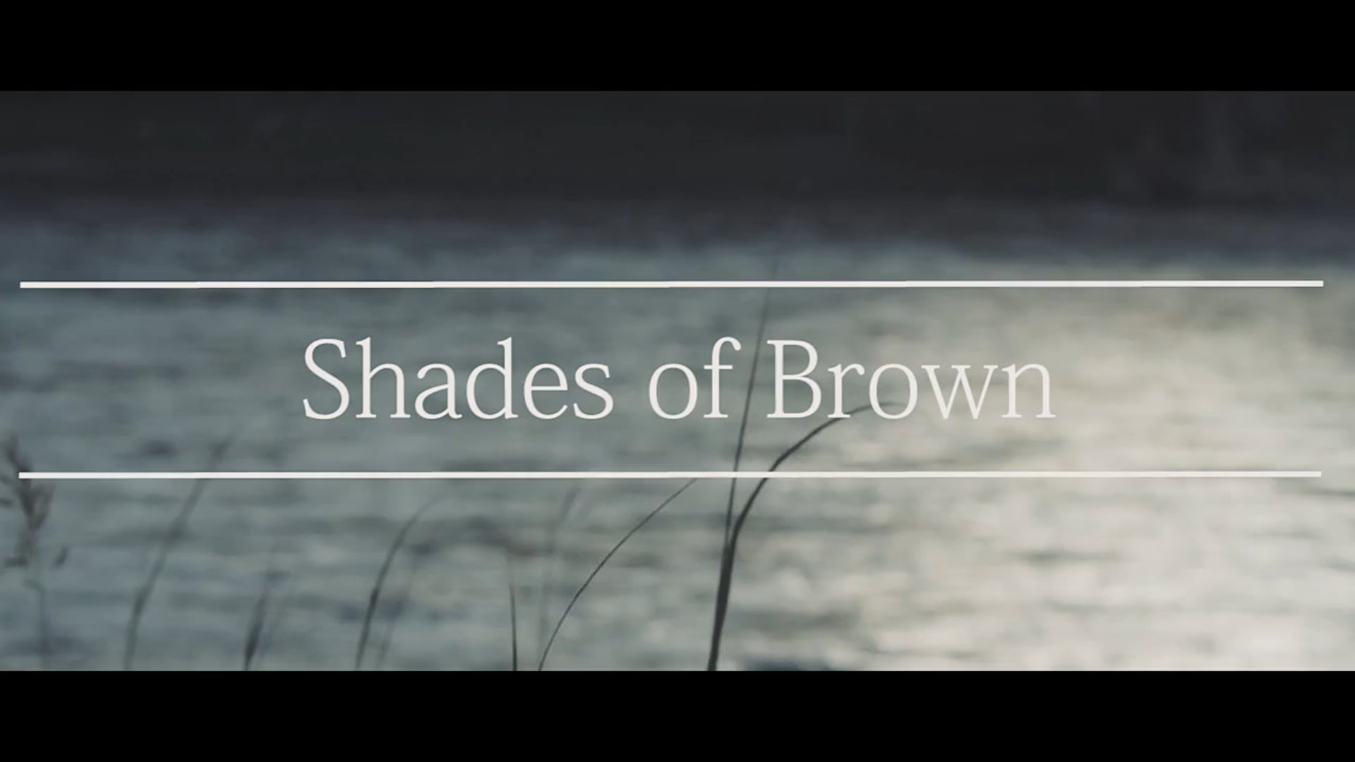 Shades of Brown