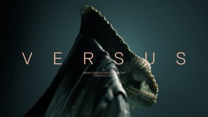Versus