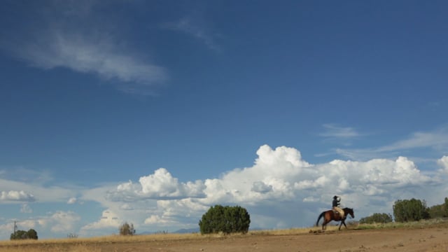 I Was Born A Cowboy