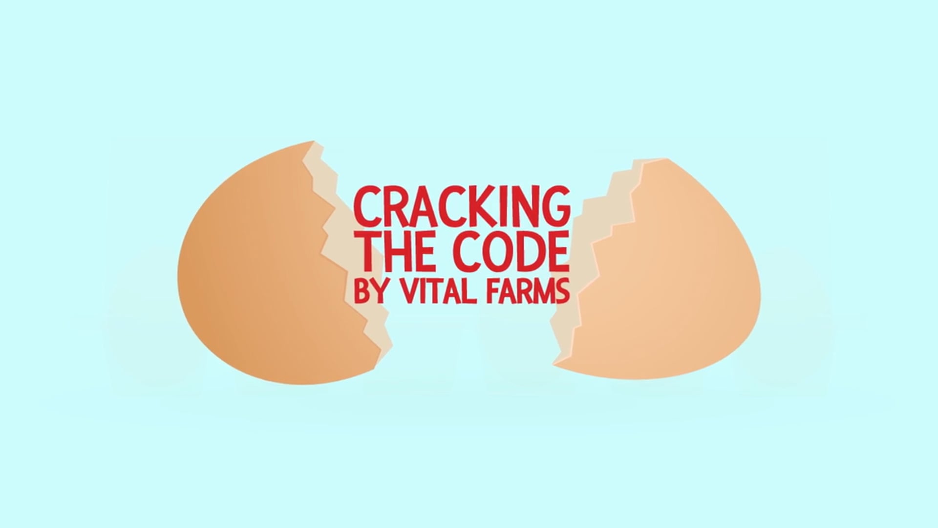Cracking the Code - Vital Farms guide to Eggs