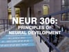 Wellesley - CLASS VISIT:  NEUR 306: Principles of Neural Development