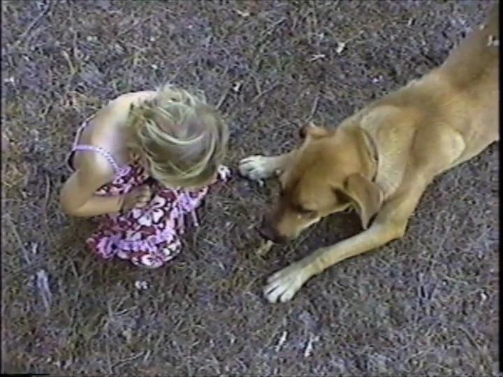 Family 2001-2004
