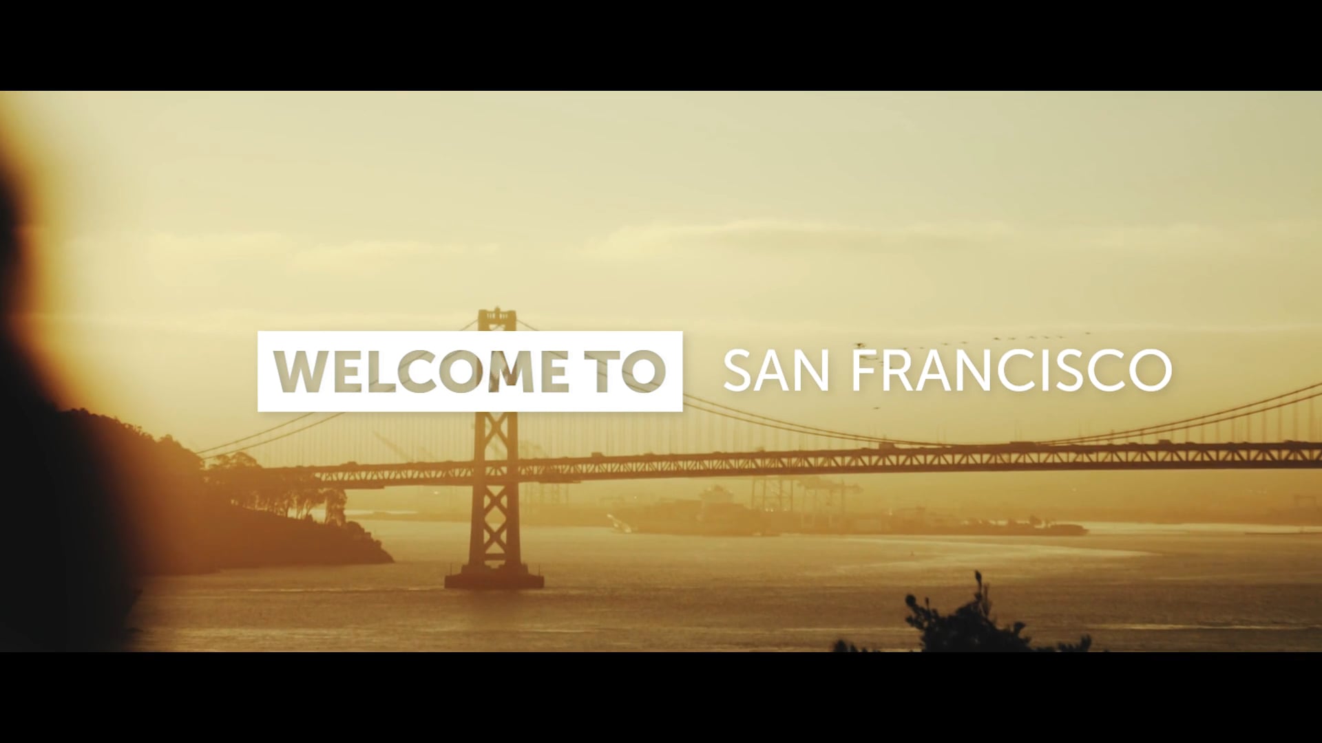Escape Travel / California Culinary Experiences - San Francisco