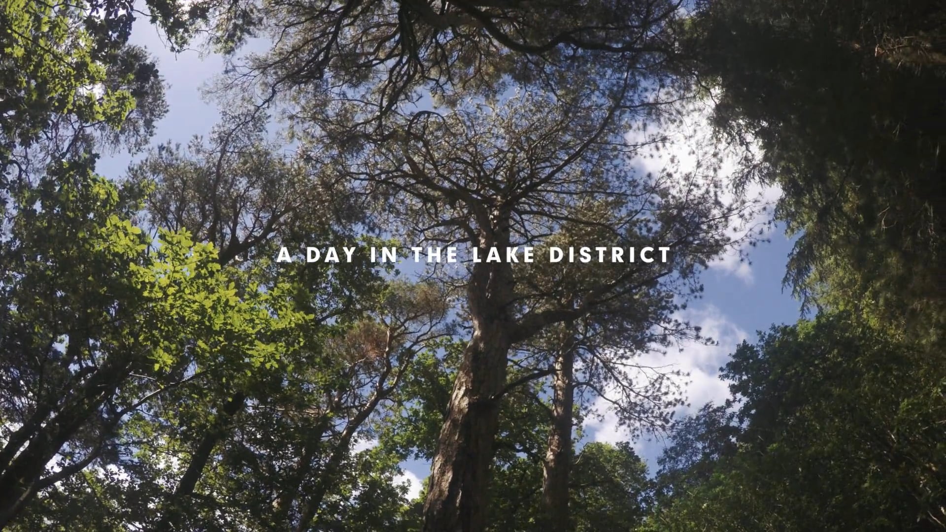 A Day in the Lake District
