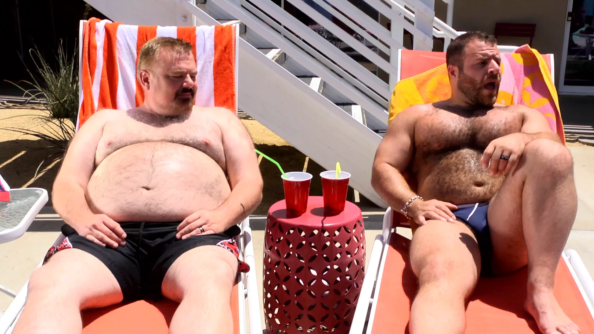 Watch Where the Bears Are Online Vimeo On Demand on Vimeo