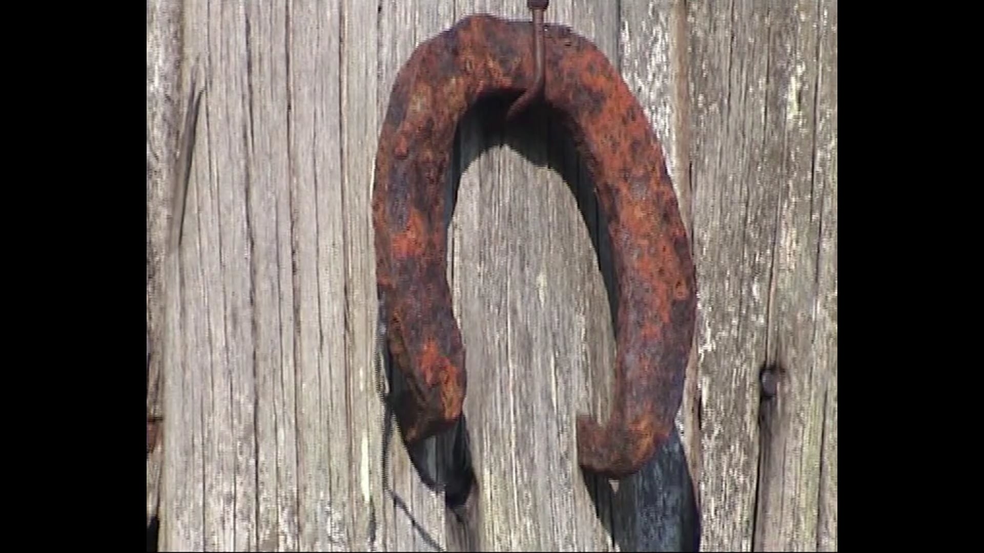 Любимая моя Родина