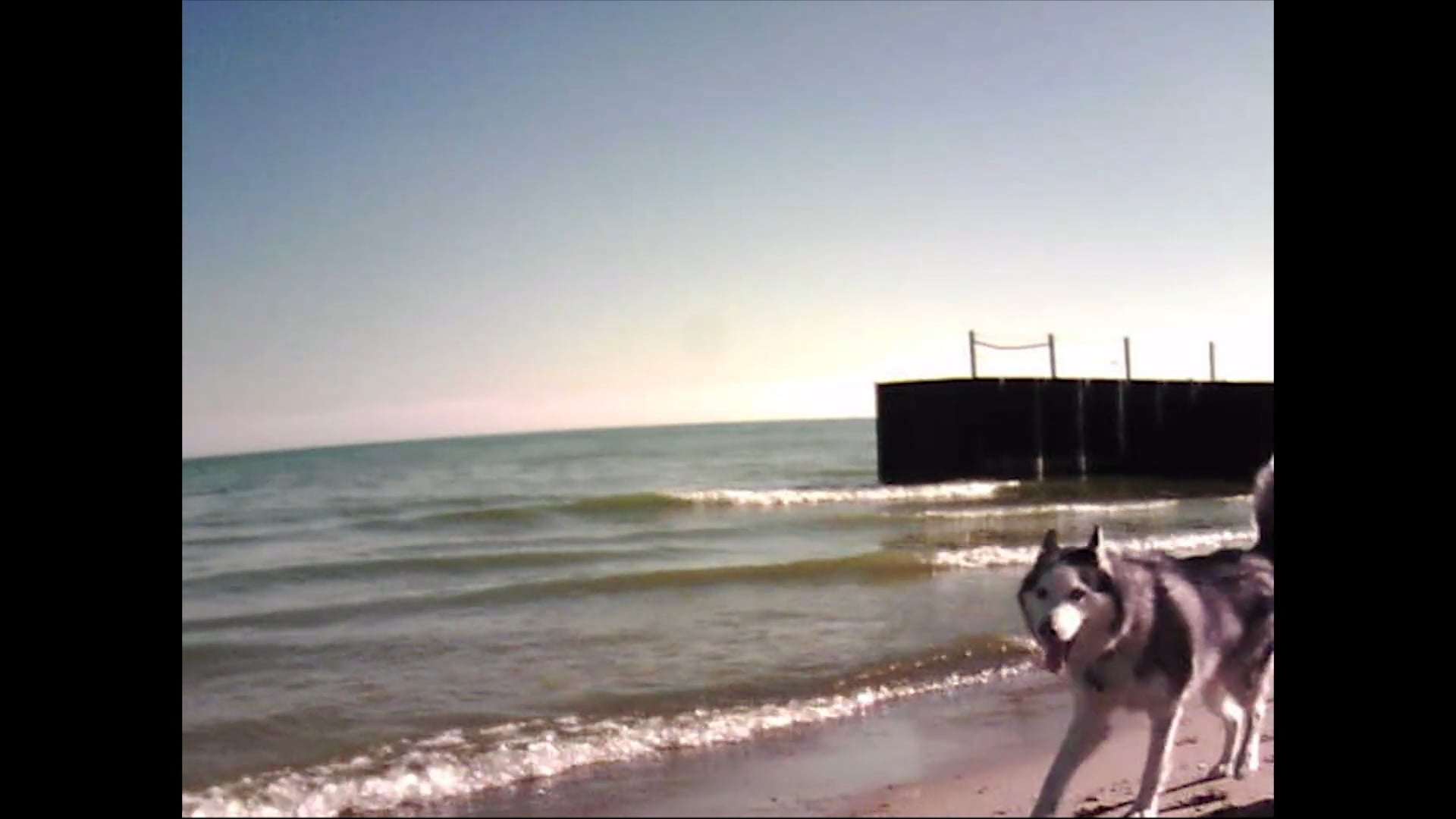 Sadie and the stark - Two Reasons [Official Video]