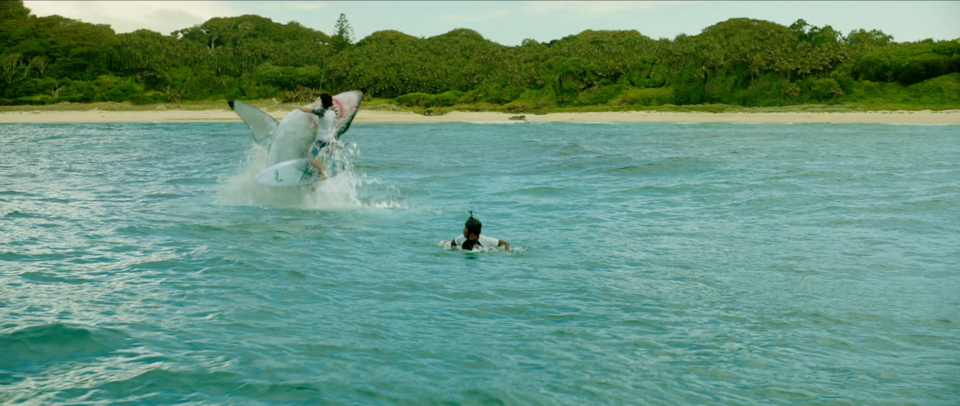 Отмель малая локня. Отмель the shallows (2016). Отмель 2016. Отмель блейк. Отмель малая локня.