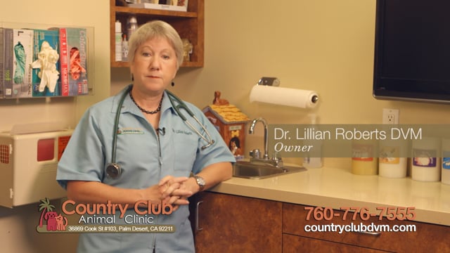 Veterinarian In Palm Desert, CA • Country Club Animal Clinic