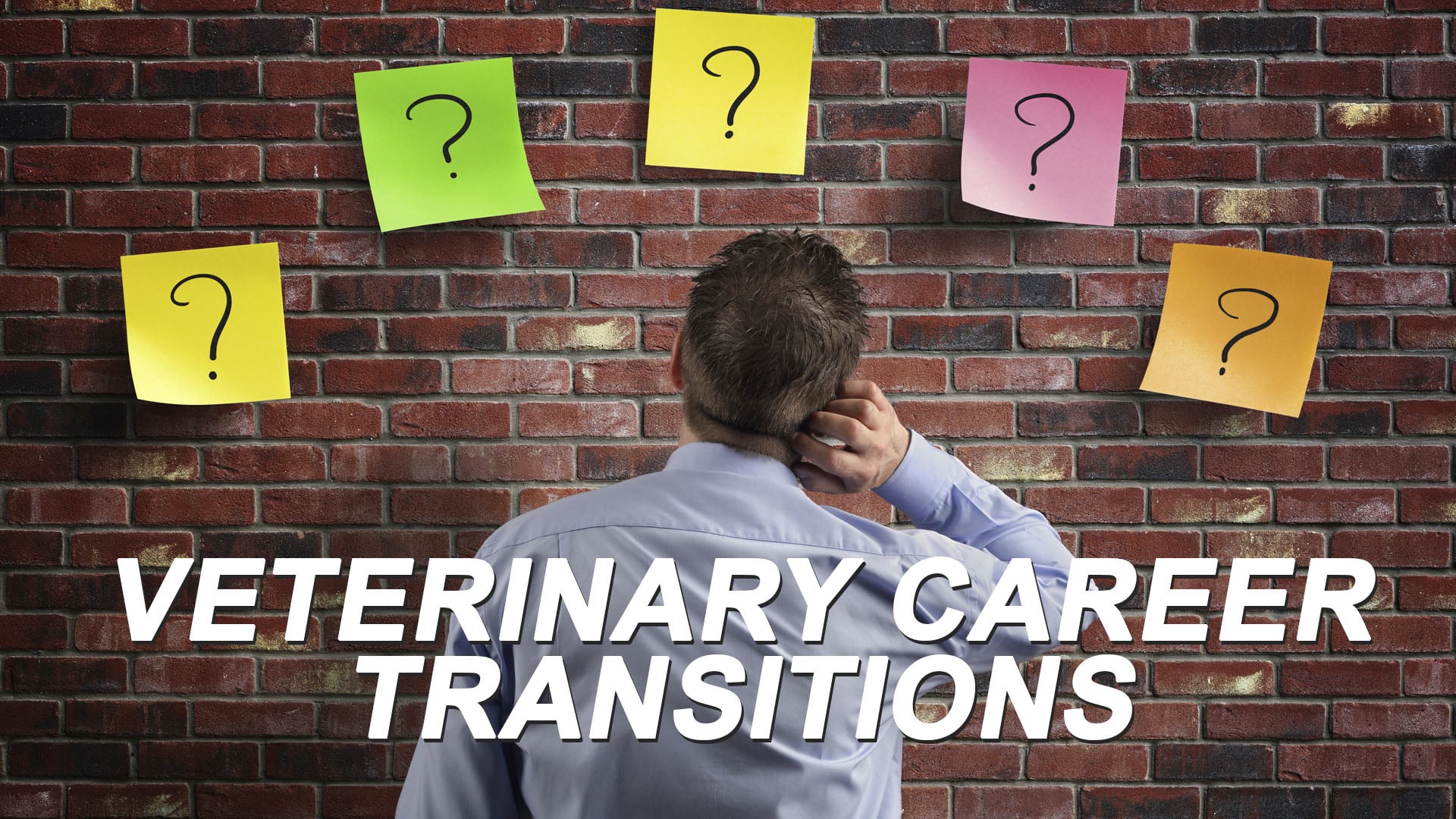 Veterinary Career Transitions On Vimeo