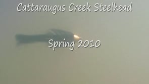 Enchanted Mountains of Cattaraugus County