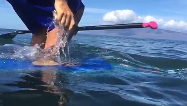 Pocket of Plastic Challenge