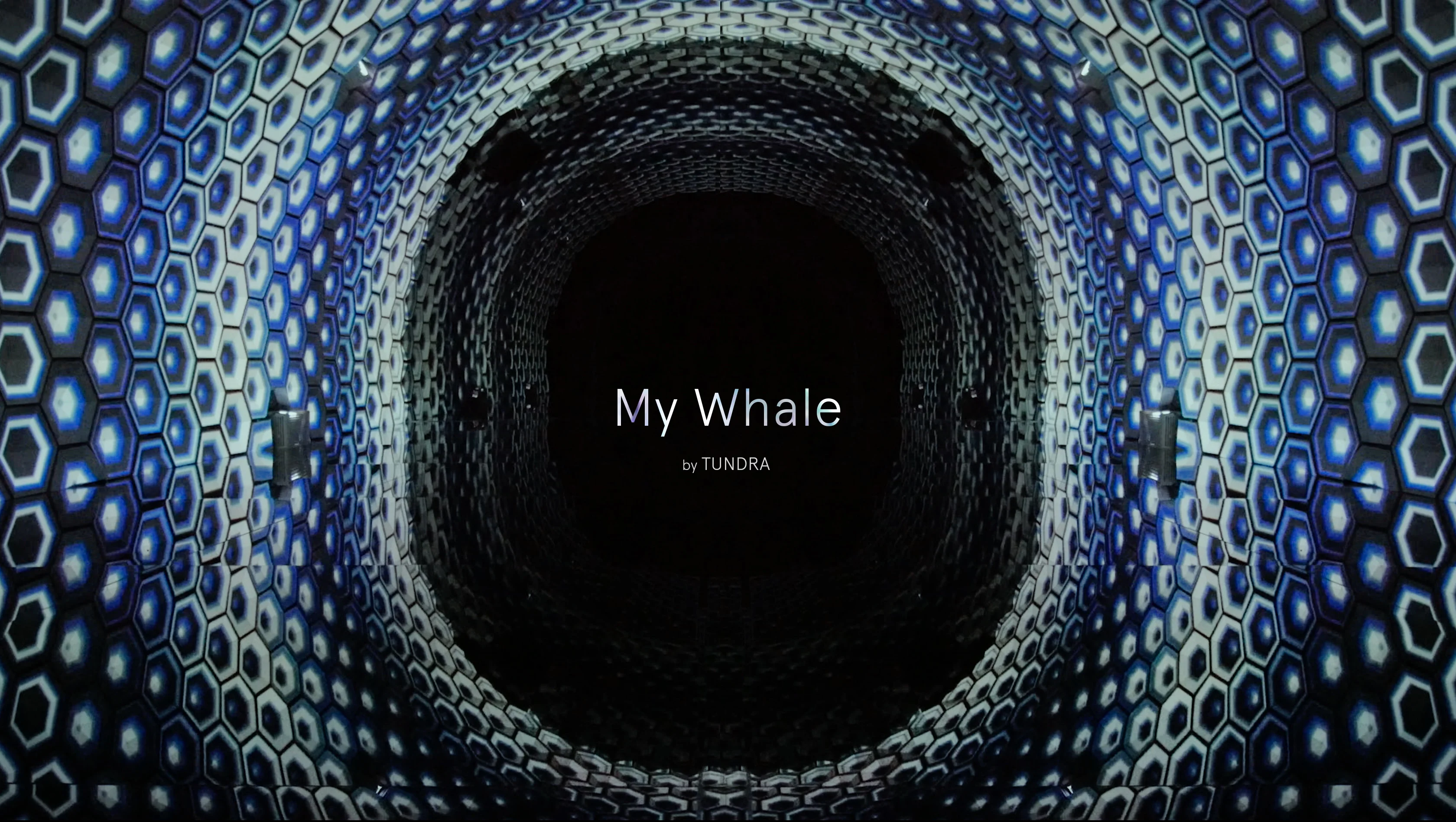 アート・デザイン・音楽 THE WHALE'S EYELASH Whale Shark / Manta Ray Watercolor Print – Moondance Studio