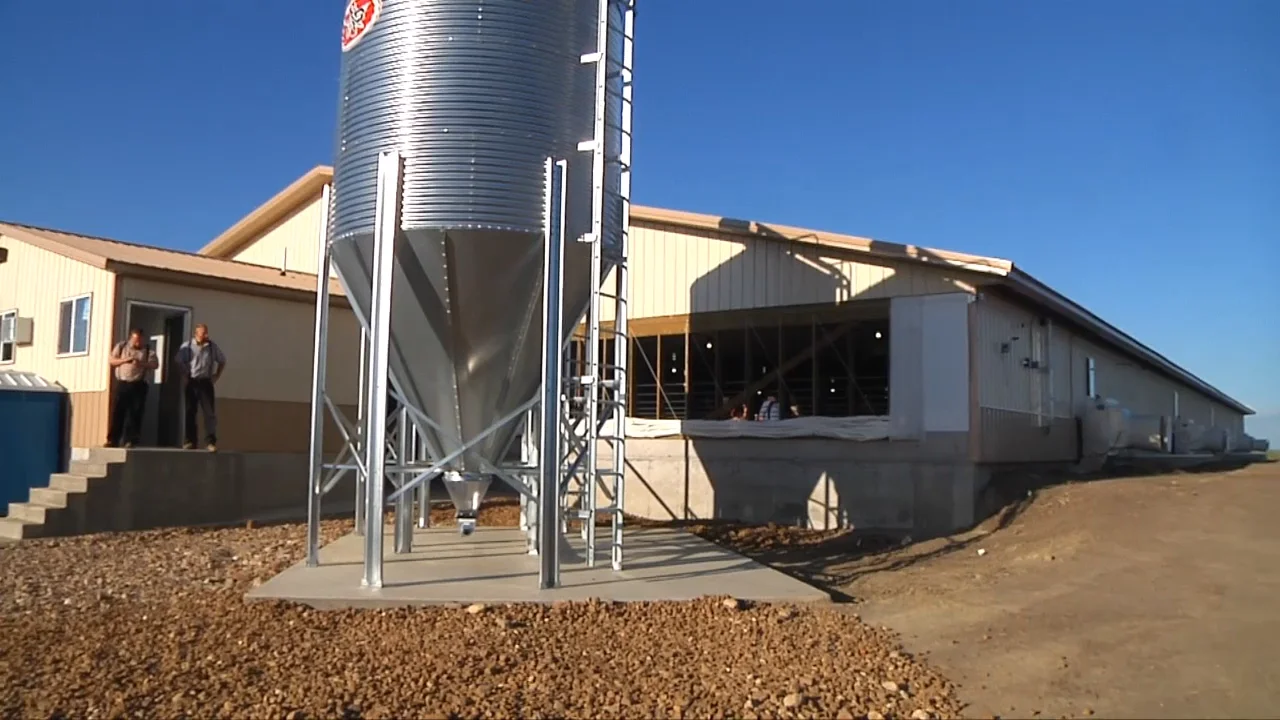 New Swine Unit Provides Chance for Young Farmers on Vimeo