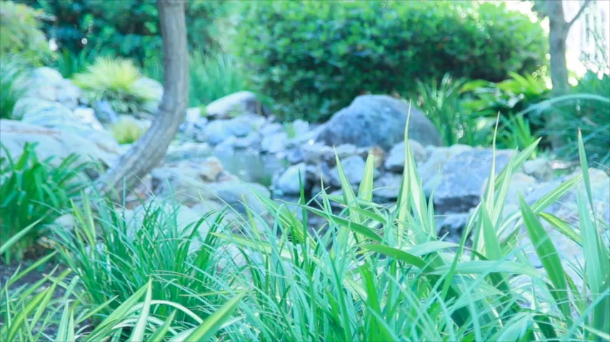 Christina model video snippet  