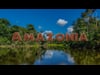 Amazonia