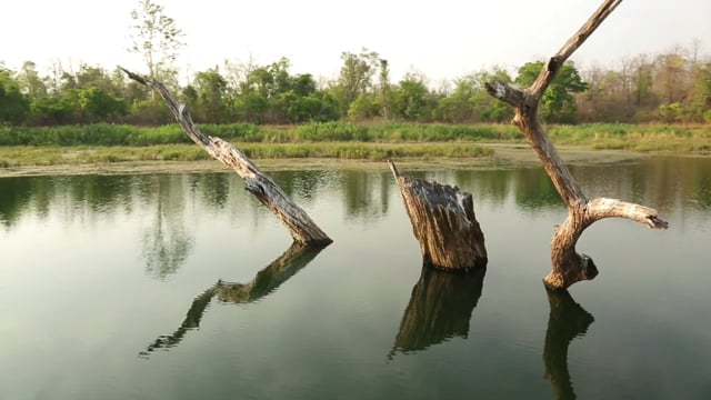 COX N KINGS | PENCH & TADOBA NATIONAL PARK