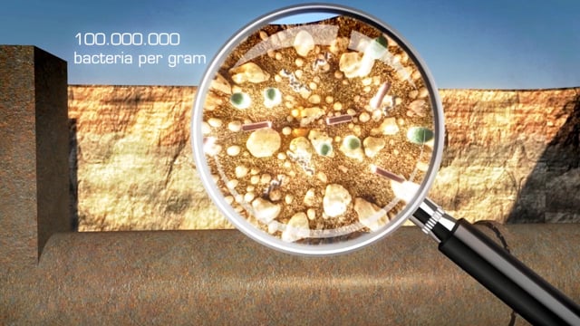 https://vimeo.com/156411151
