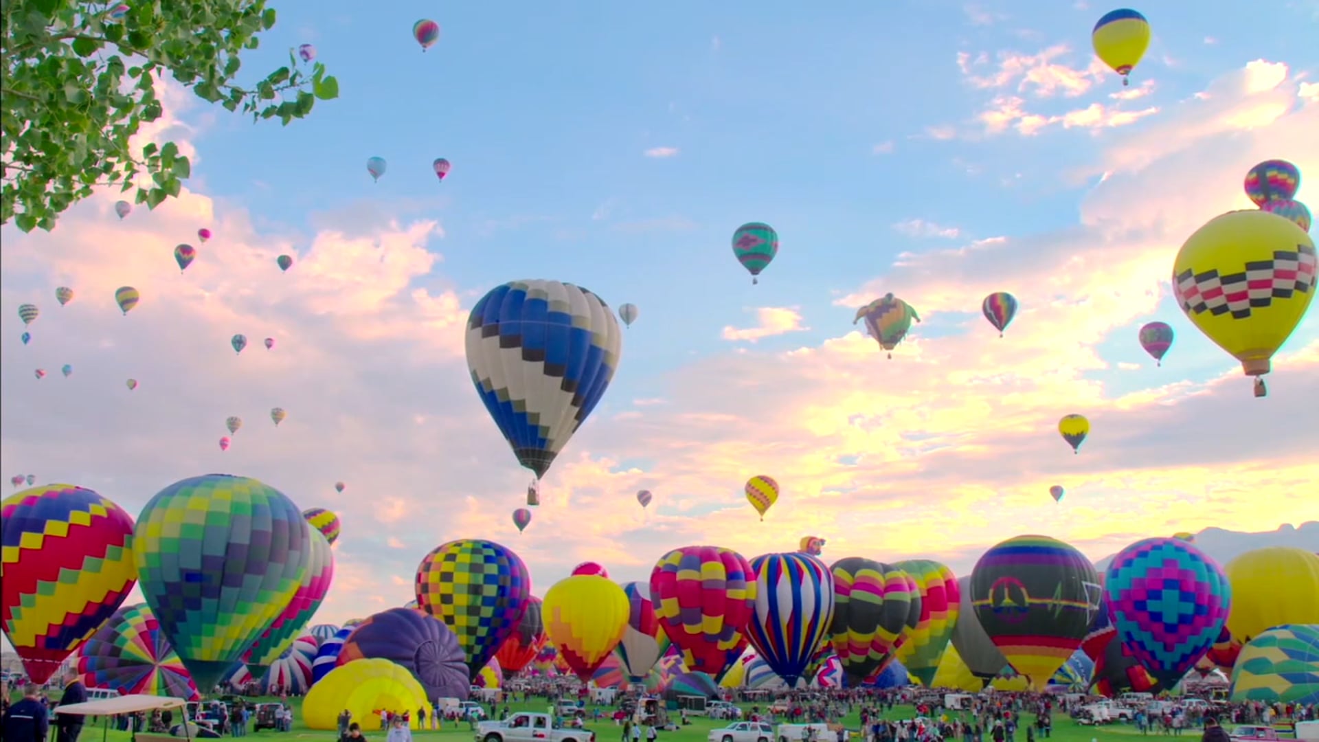 Hot Air Balloon Festival Highlights